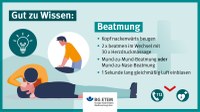 Können Ihre Mitarbeiterinnen und Mitarbeiter Erste Hilfe? Nutzen Sie unsere Grafiken z.B. für einen Newsletter oder als Aushang, um immer wieder für das Thema zu sensibilisieren.