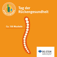 In unserer Serie zur Rückengesundheit stehen dieses Mal die Muskeln und das rückengerechte Krafttraining im Vordergrund. Ganz unter dem Motto: 